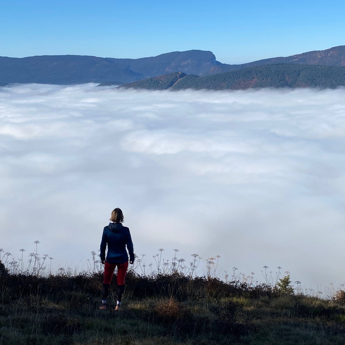 Finishers_com's tweet photo. [𝗣𝗜𝗖 𝗢𝗙 𝗧𝗛𝗘 𝗪𝗘𝗘𝗞 : Au dessus des nuages ☁️]

📸 @leshobbysdecaro  (à retrouver sur Instagram)
📍 Plateau du Vercors (Isère)

#kavval #picoftheweek #montagne https://t.co/W5ToOLuoHD