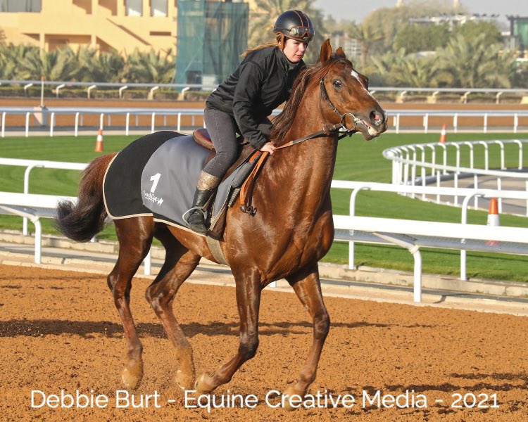 ArabianRH's tweet photo. #tracknotes from this morning for the #almneefah @thesaudicup π
https://t.co/xNeY1E3Zme π @afac_contact @EquineMediRec @Intracingbureau https://t.co/VuDDilV2T5