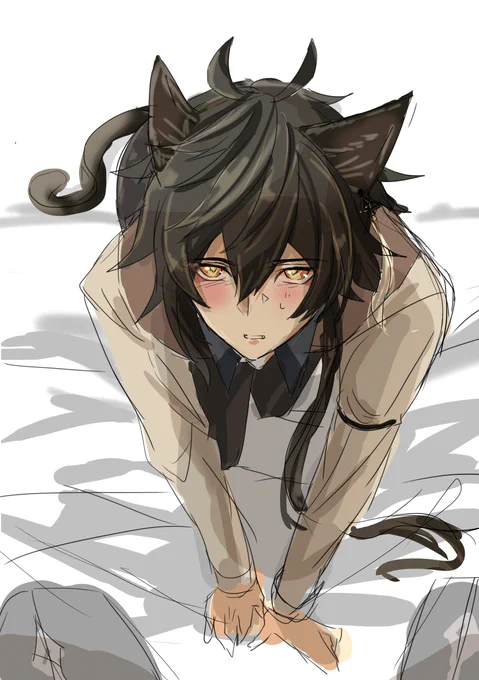 ねこの日なので取り急ぎ・・・
にゃんこな🔶先生

今度もう少しちゃんとしたい 
