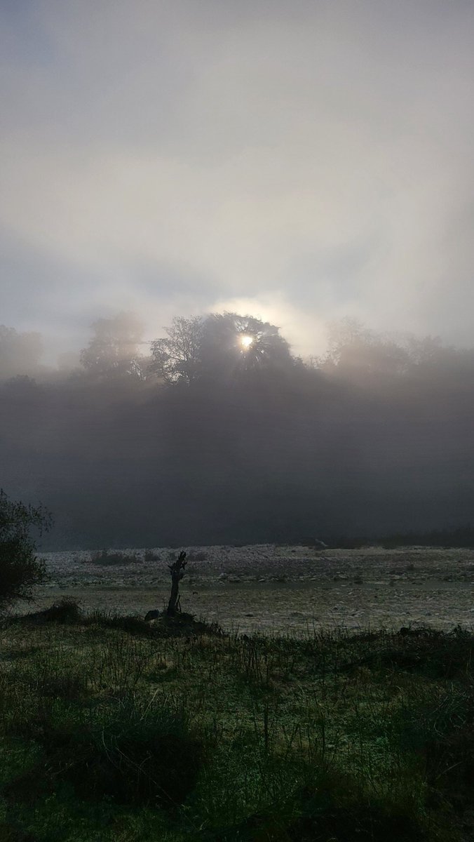 Gagan Narang tweet media