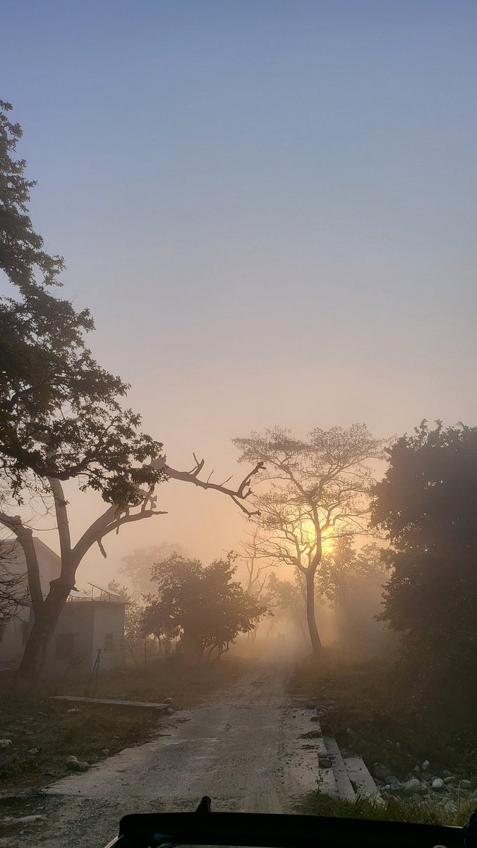 Gagan Narang tweet media