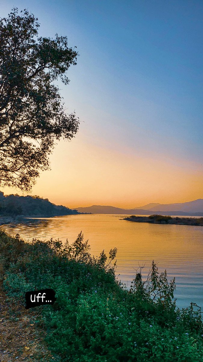 Gagan Narang tweet media