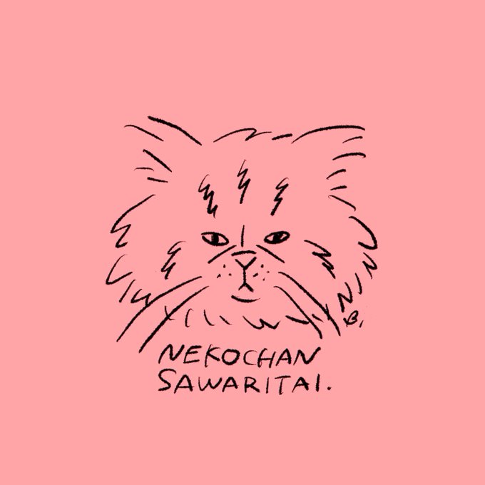#猫の日 