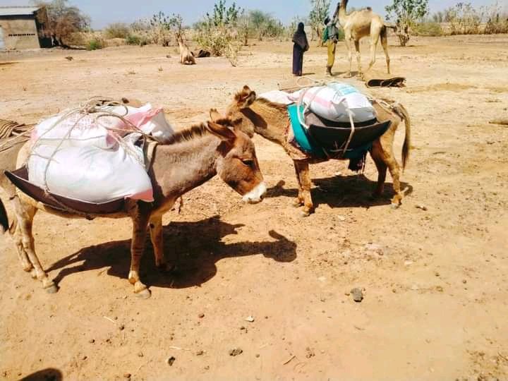 Tahir_A_Ebrahim's tweet photo. This is How humanitarian aid Delivered & Mobilized to The #IDPs That are sheltered in Some Refugee camps! #Afar
Aid is not reaching hundreds of 1000s of ppl while supplies, especially food items remain stocked in warehouses!
#SaveAfarIDPs
#SupportAfarIDPs
#AfarCantWait
@UNGeneva https://t.co/pFbqVKigYz