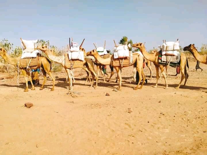 Tahir_A_Ebrahim's tweet photo. This is How humanitarian aid Delivered & Mobilized to The #IDPs That are sheltered in Some Refugee camps! #Afar
Aid is not reaching hundreds of 1000s of ppl while supplies, especially food items remain stocked in warehouses!
#SaveAfarIDPs
#SupportAfarIDPs
#AfarCantWait
@UNGeneva https://t.co/pFbqVKigYz