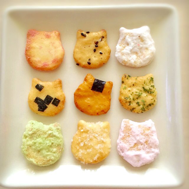 ฅ^._.^ฅ 
実家のにゃんこに2年会えてない会いたいねぇ( ˇ꒳​ˇ )♡
#猫の日