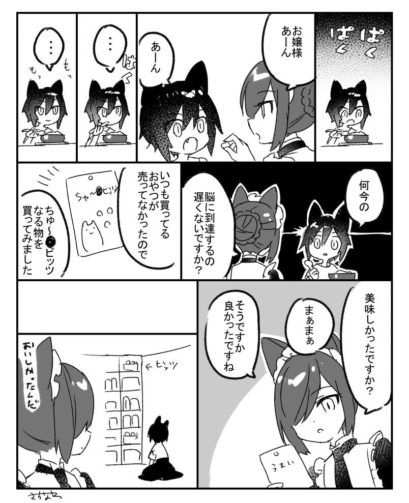 今日のお猫 