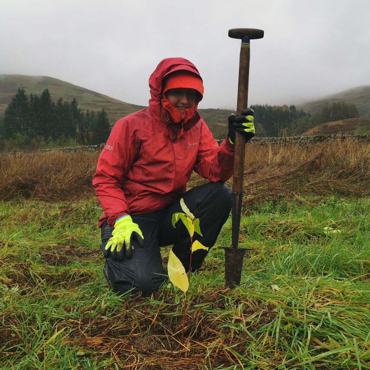 BordersForest's tweet photo. Happy #WorldThinkingDay to everyone celebrating today.  Here is me planting my first tree at Corehead, will I manage 22 this year?

@GirlguidingScot #Take2in2022 https://t.co/YaSRPU9TfO