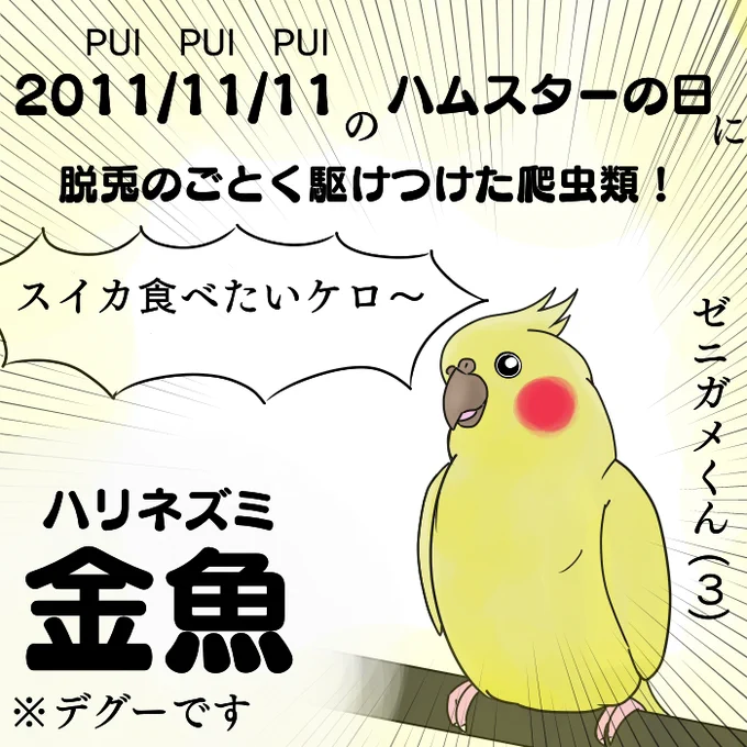 今日はスーパー猫の日ということなので記念に描きました 