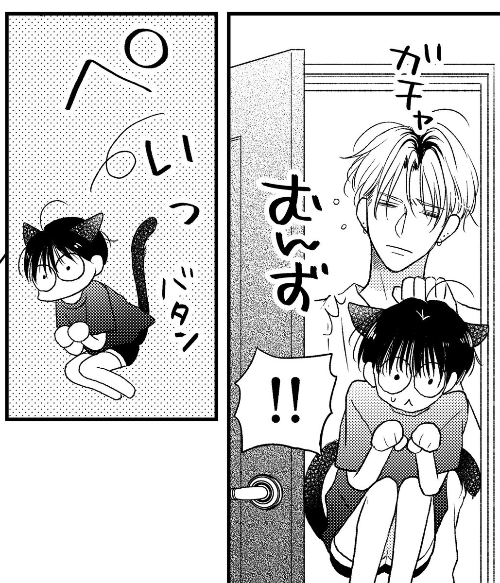 猫の日🪔🐈‍⬛🐾
燈パイセンのにゃんこ
#心くんは愛とかいらない 