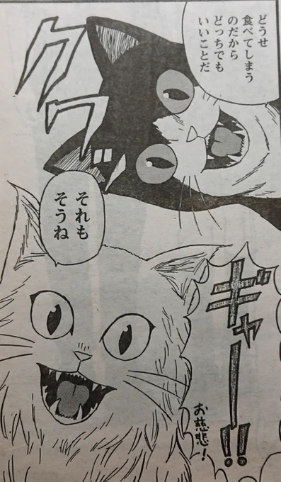 拙作『裏の家の魔女先生』より猫登場コマ。

#猫の日 