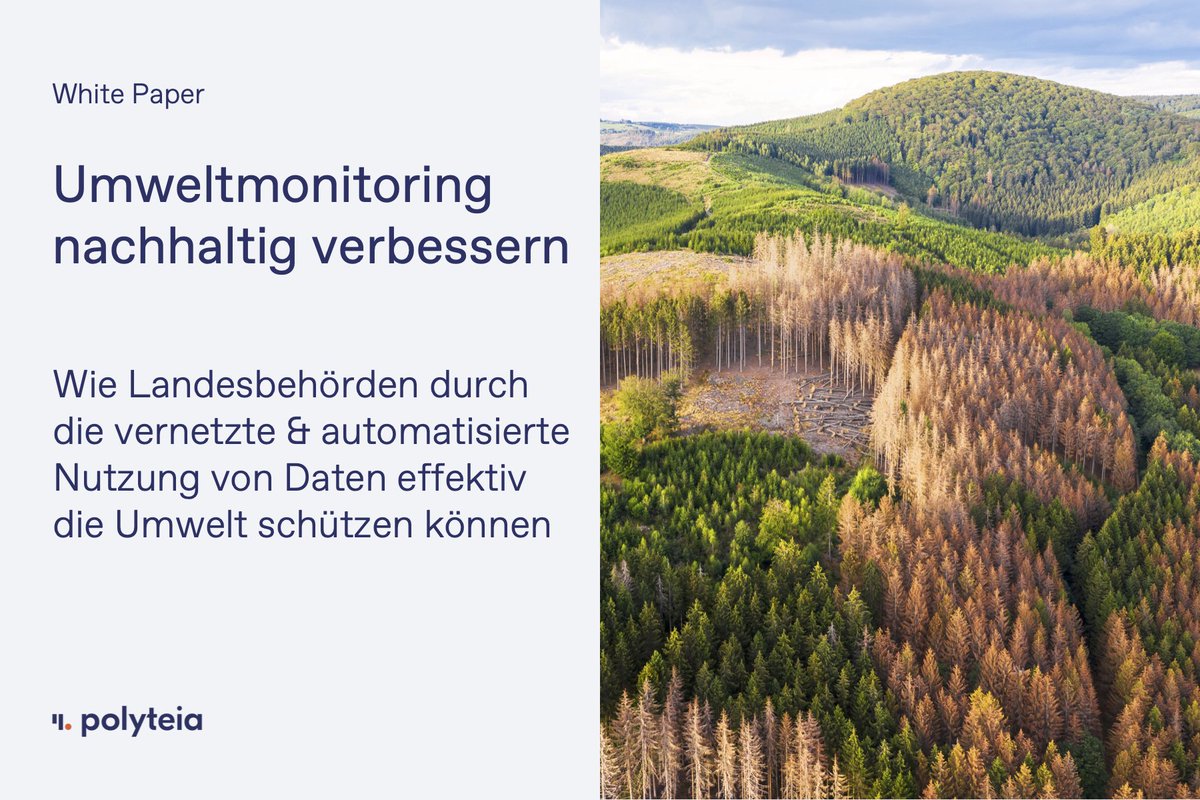 Polyteia tweet media