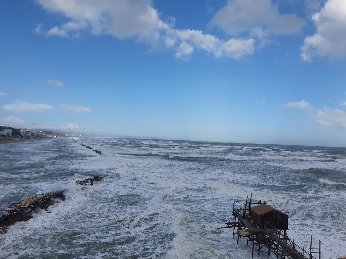 Giovanni Maddalena tweet media