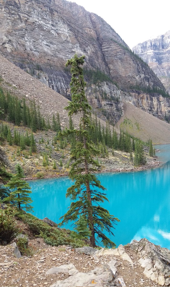 #kleurindenatuur #turquoise is het prachtige Lake Moraine in Canada. Echt niet normaal zo prachtig. <a href="/ChrRoland/">🍄Christina Roland 🇺🇦</a>