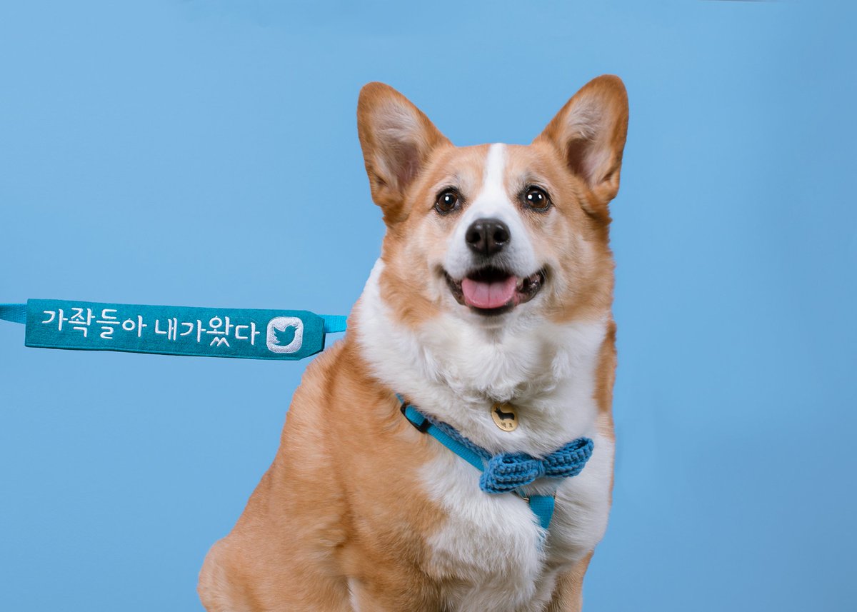 익되 tweet media