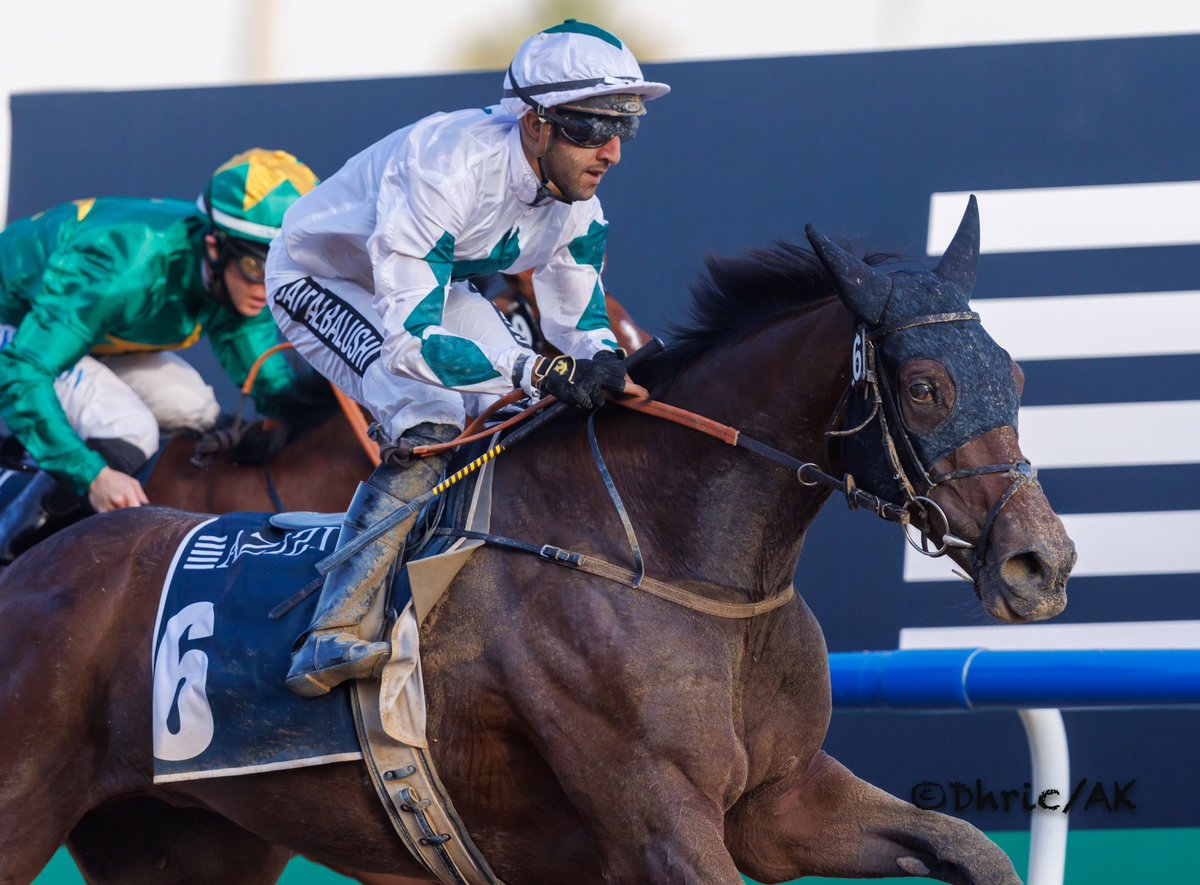 DubaiRacingTV's tweet photo. We have another busy weekend to look back at on #PastThePost tonight!
Donโt miss it at 6pm UAE. https://t.co/AA9H9vU0FC