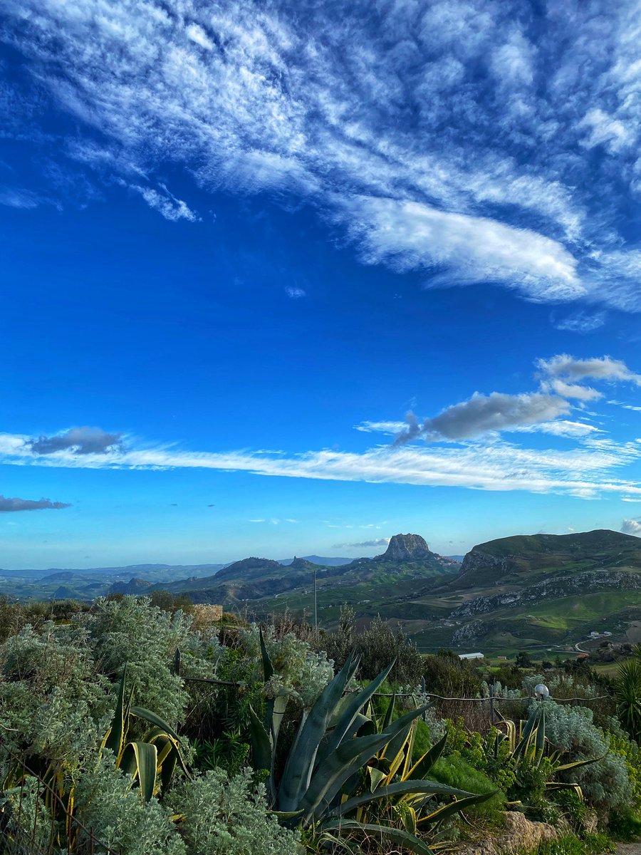 Danny McCubbin tweet media