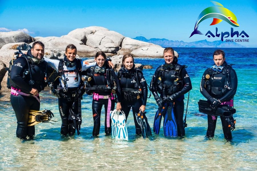 Alpha Dive Centre tweet media