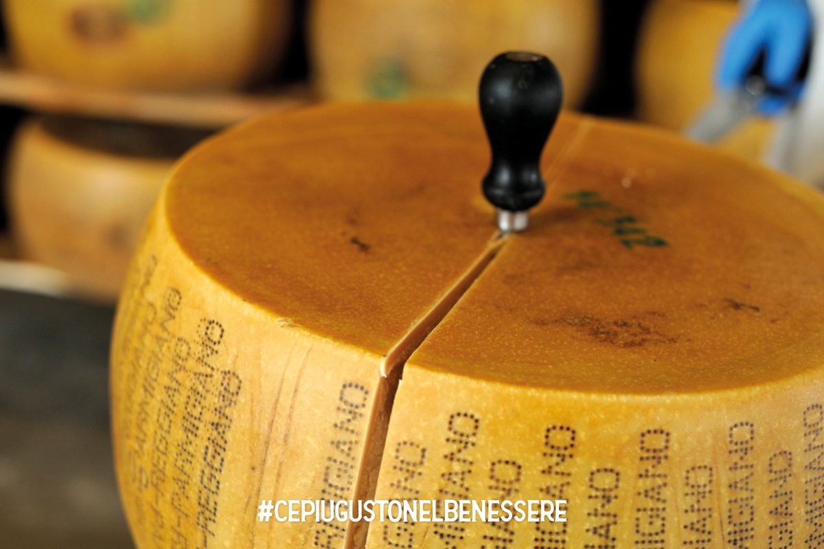 Garantiamo la produzione di grandi formaggi italiani #parmigianoreggiano e #granapadano
Dentro ogni forma c’è un mondo.
Ci sono il lavoro di uomini e donne nelle stalle, nei caseifici, l’energia che fa muovere le ruote dei trattori nei campi e la trasformazione finale.