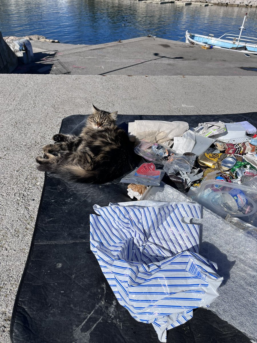Lucien_Tanghe's tweet photo. Petite collecte à la Marina Baie des Anges, après la réunion préparatoire de l’opération #PortPropre prévue fin mars. 

Merci à Félix le chat pour sa participation active. 😄

@VilleneuvLoubet @blueleafconserv @MerPropre @Pollustock @noplasticfrance @composteo @surfridereurope https://t.co/nqsg8ylQ3n