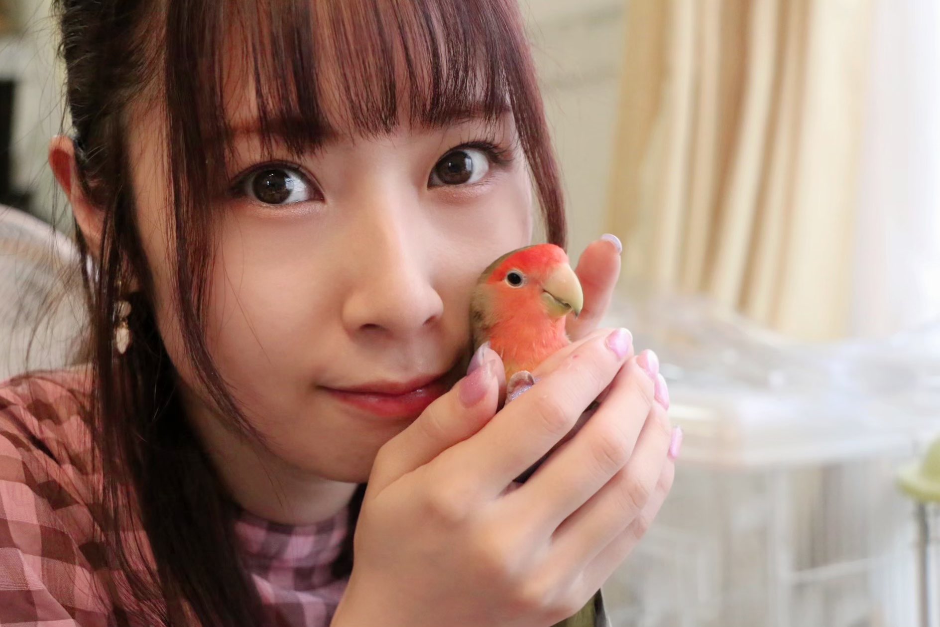 高柳明音 鳥専用 月 日 開設5年 うちの1番長寿の小桜ちゃんが 15年目になり この5年で別れもありました これからも かけがえのない時間を大切に 鳥の可愛さを発信しつつ 皆さんの可愛い鳥を 摂取させて頂きます T Co 高柳明音 鳥専用 月 日 開設5年 うちの1番長寿の小桜ちゃんが 15年目になり この5年で別れもありました これからも かけがえのない時間を大切に 鳥の可愛さを発信しつつ 皆さんの可愛い鳥を 摂取させて頂きます T Co