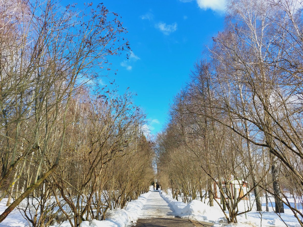 Совсем скоро - весна!☀🌷
Настроение уже весеннее?
#Мелихово #Чехов #городскойокругчехов #музеиподмосковья #культураподмосковья #культмо #нашеподмосковье #ПушкинскаяКарта #пушкинскаякартаМО #ведисебякультурно