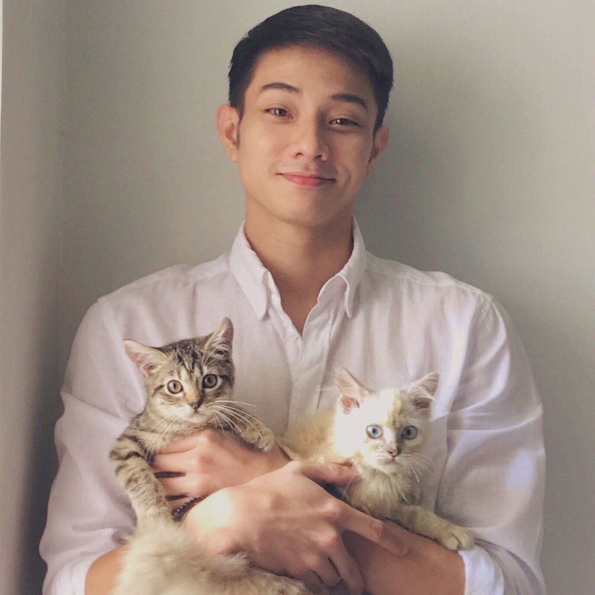 sordidpills's tweet photo. Tobio’s home. 

Magkasama na po ulit sila ni Minka sa catto heaven. https://t.co/SwcpsWr2xv