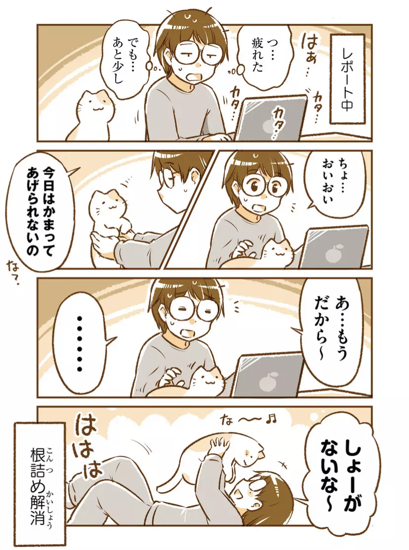 名猫「茶太郎」(1/2)#猫の日 