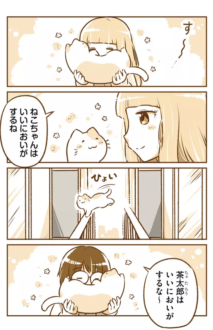 名猫「茶太郎」(1/2)#猫の日 