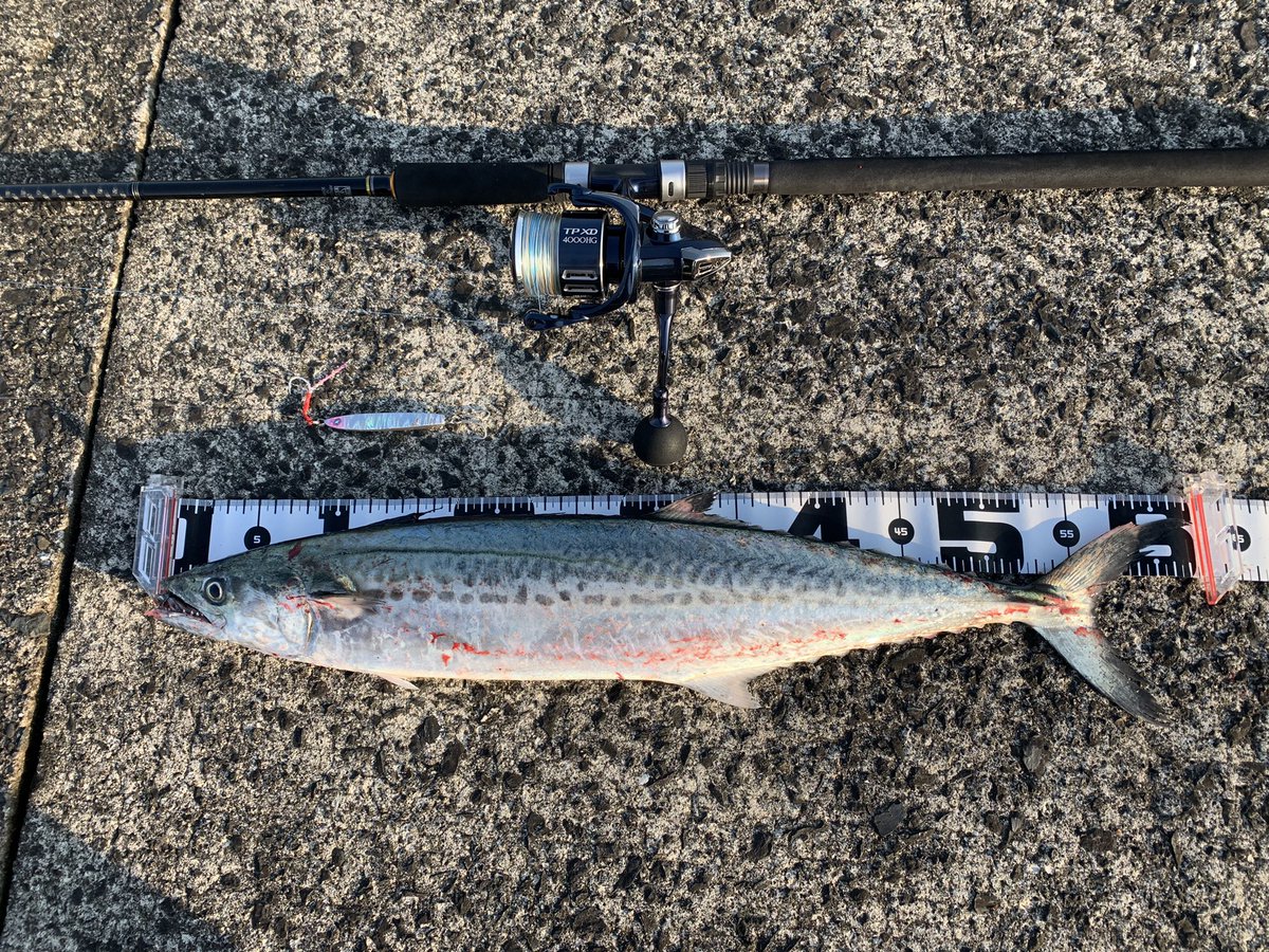 Tymo_fishing's tweet image. 今年初青物！！！！
やっと釣れた〜
ツインパの鱗付け完了！！！
#BlueBlue
#FALLTEN
#オールシルバー