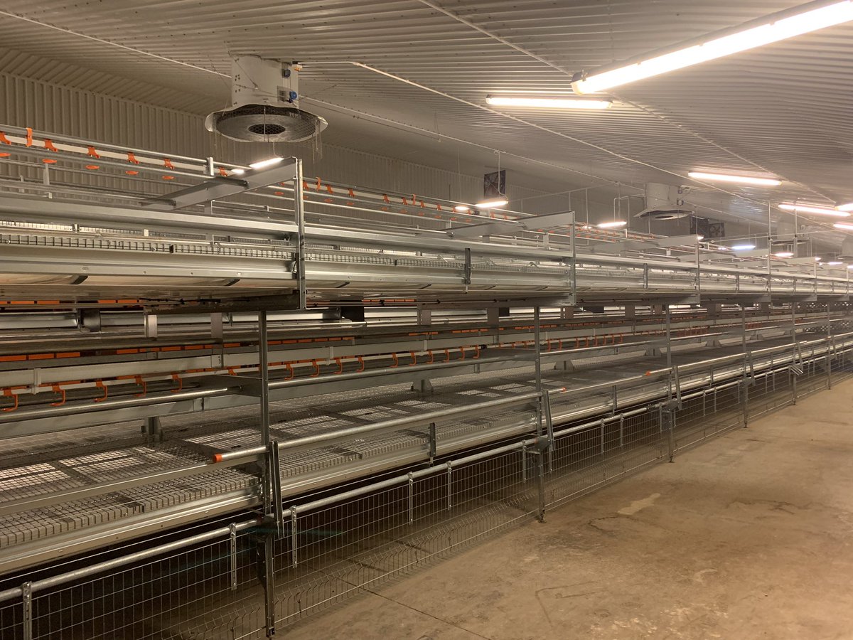 Fully refitted systems ready for commissioning next week and housing the hens back in shortly afterwards.
Pleasure to work with a phenomenal fitting team and the system looks fantastic again. #Newquip #BigDutchman #FreeRangeEggs