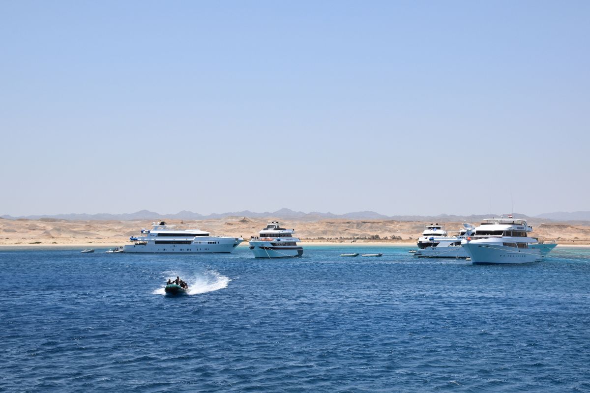 The Red Sea Diving Trip you’ve been waiting for! - mailchi.mp/114301e55c42/l…