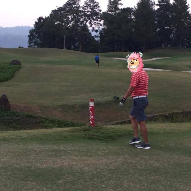 JomNFT's tweet photo. Monfter golfer at Parahyangan Golf Club Bandung! One of the best courses in Bandung #monftersclub #nfts #nftcollection #nftcommunity #nft @monftersclub https://t.co/IuhAI5tMc9