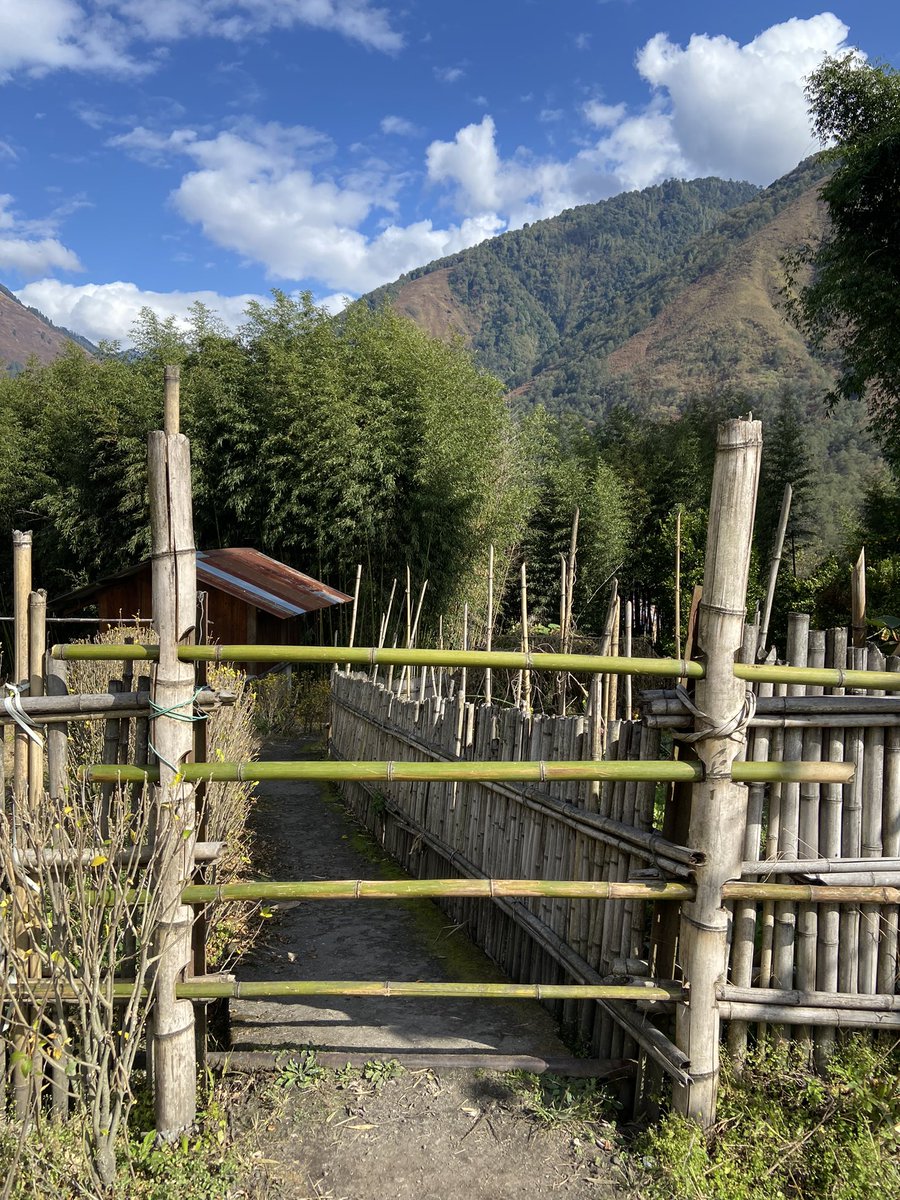 WithManish0's tweet photo. What an easy gate made out of bamboo. No modern technology can match this simple but effective and Eco friendliness.

#ArunachalPradesh #lifewithnature #nature #travel #Explore #india #village https://t.co/FpzDmL5ud2