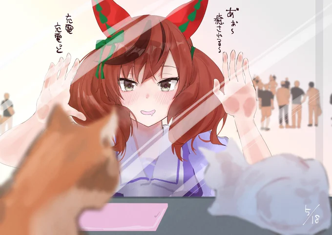 猫の日なのでふやけきってるネイチャを再掲🐈 