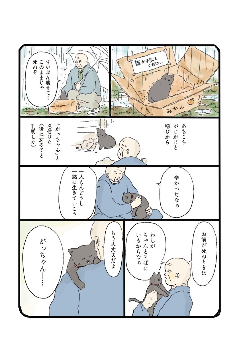 本日2022年2月22日は  #スーパー猫の日✨🐱猫漫画ではないですが、『泣きたい夜の甘味処』の「がっちゃんのココアクッキー」をご紹介します。雨の日拾った黒猫とおじいさんの話です。単行本には黒猫のココアクッキーのレシピも掲載。
#いつも猫といっしょ #猫の日 https://t.co/X4jDBHgKCt 