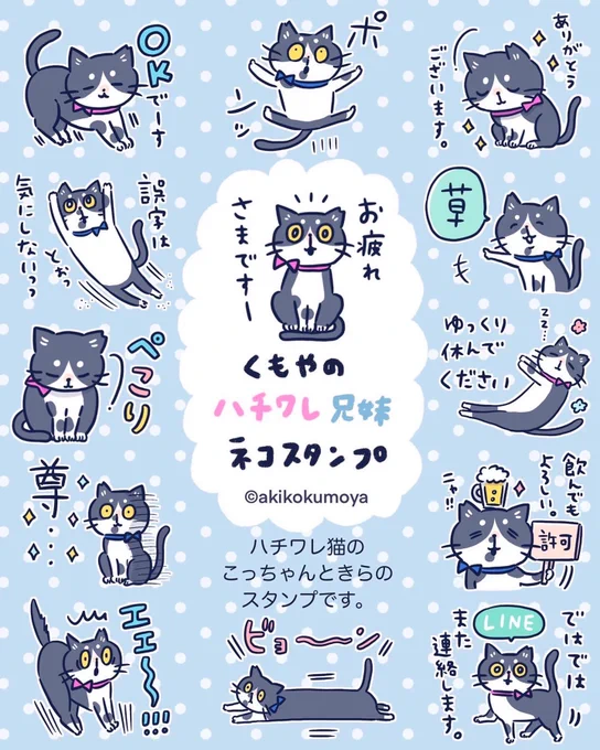 #スーパー猫の日 ということで!
猫のLINEスタンプ作りました🐈
猫に癒されたいであろう人にぜひ送ってくださーい✨🙏
#猫の日 #ねこの日
#LINEスタンプ #LINEスタンプ販売中
https://t.co/he7gHcO2LI 
