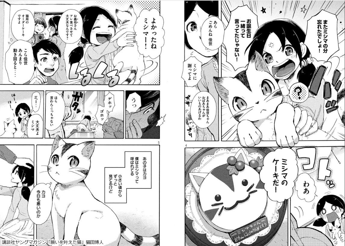 2022/02/22 #猫の日 !!!!
ということで読切「願いを叶えた猫」よかったら読んでね!
まじめな飼い猫が、妹のような少女のために、「人間になれたらいいのに」と願ったことから始まる物語です。
https://t.co/bwsfO8jeZS 