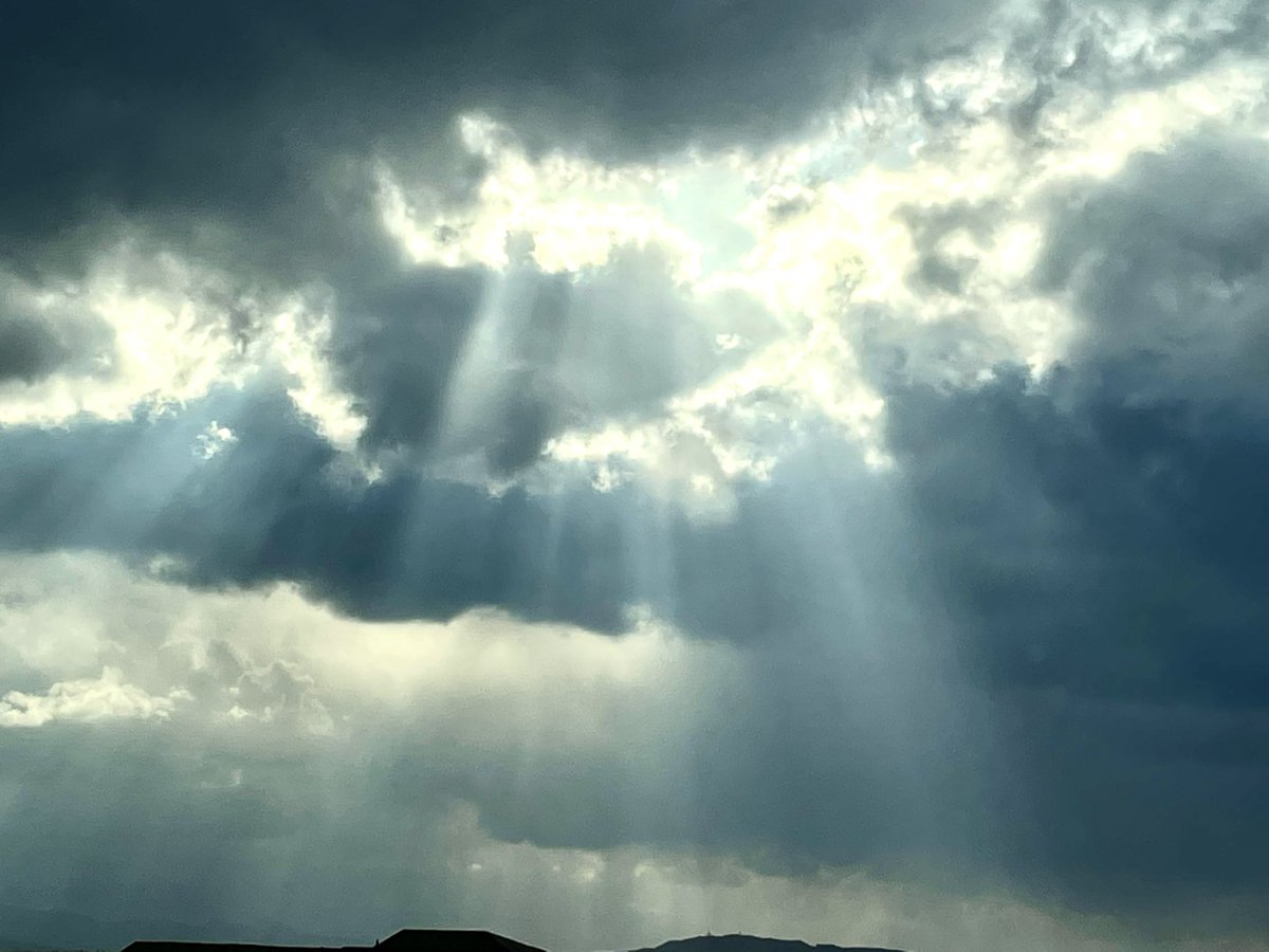 もっち mocchi tweet media