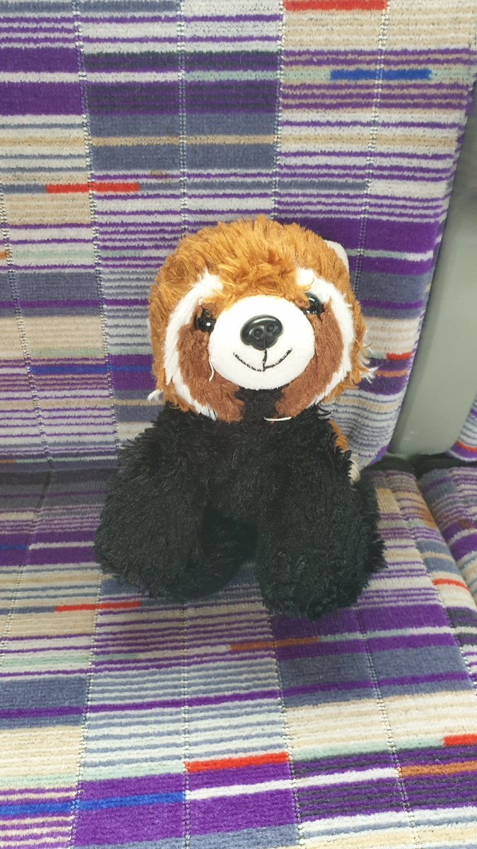 jo_boland's tweet photo. Lost red panda. Please let me know if found lost between Paddington and Hayes and Harlington. We were staying at the Premier Inn Hayes. @premierinn @TfL https://t.co/Mh3TeFtKw2