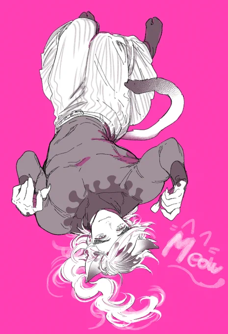 2022.02.22 22時22分にゃんにゃんどま君まとめ 