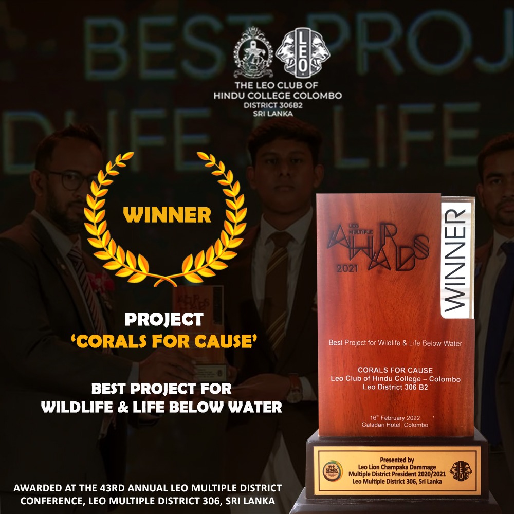 leosofhcc's tweet photo. 'Corals For Cause', the project initiated by the Hindu Leos in the vision of creating an underwater marine biodiversity system, was awarded as the best project at the 43rd annual Leo Multiple District conference in the category 'Wildlife &amp; life below water'.
#leosofsrilanka https://t.co/O4OamvZYJ5
