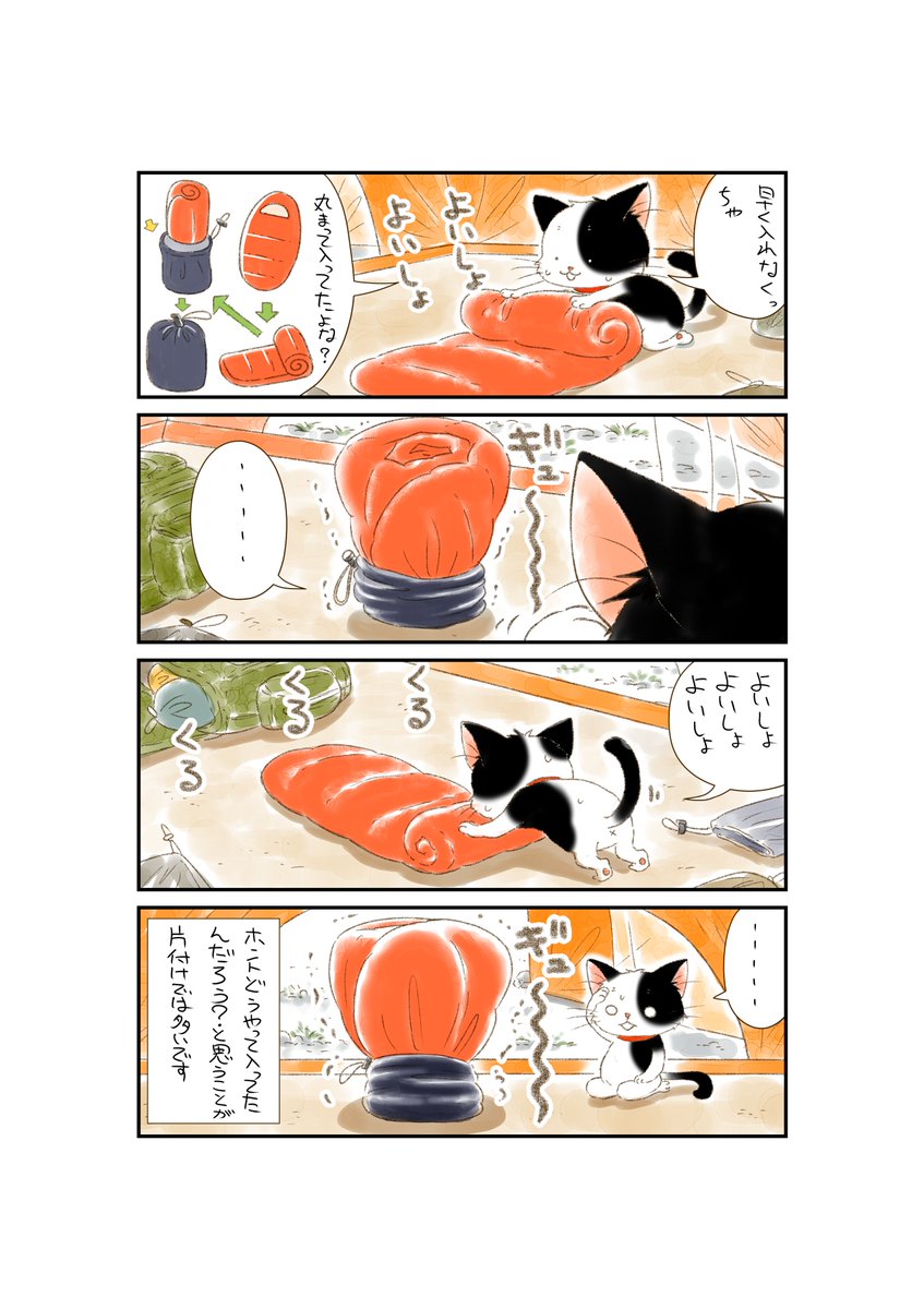 #猫の日 なので
久しぶりに宣伝です!

キャンプ漫画「ネコキャン!」
朝日新聞出版社から 発売中
アマゾン➡https://t.co/Eo2CrBe57v 