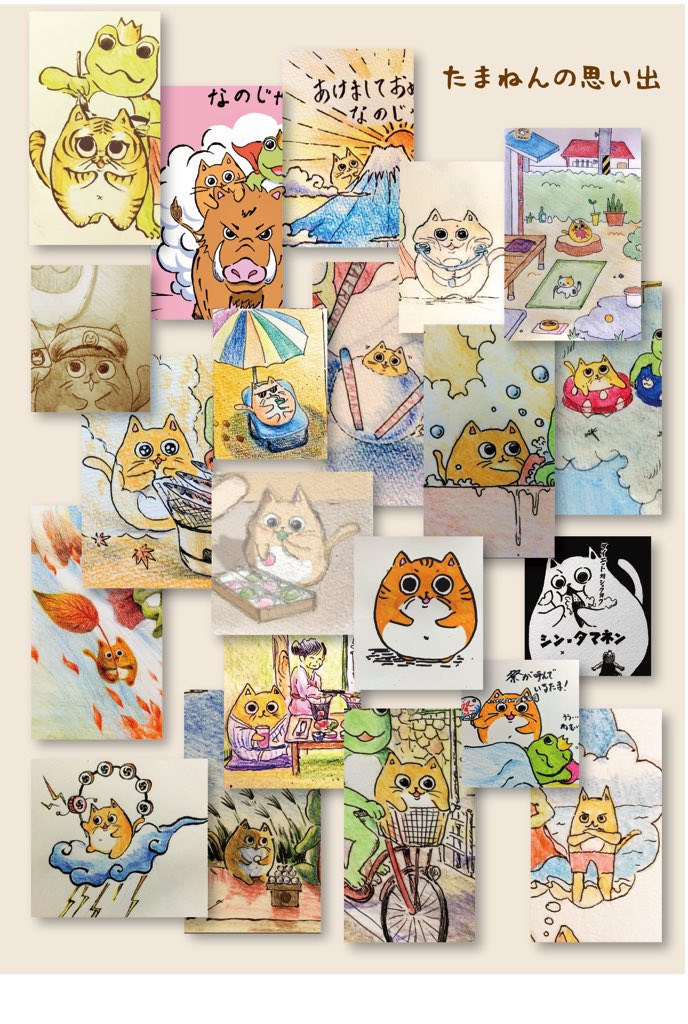 kaeruou3's tweet photo. #猫の日 
#ねこの日 
#にゃんにゃんにゃんの日 

猫の日らしいの。
わしのかわいい相方、たまねんを見て行ってほしいのじゃ。 https://t.co/zvHF14CV1C