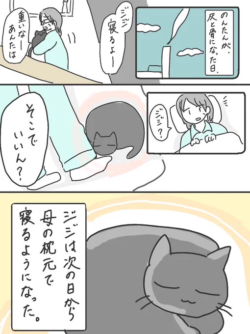 のんたんの居場所(2/2)
#猫の日 