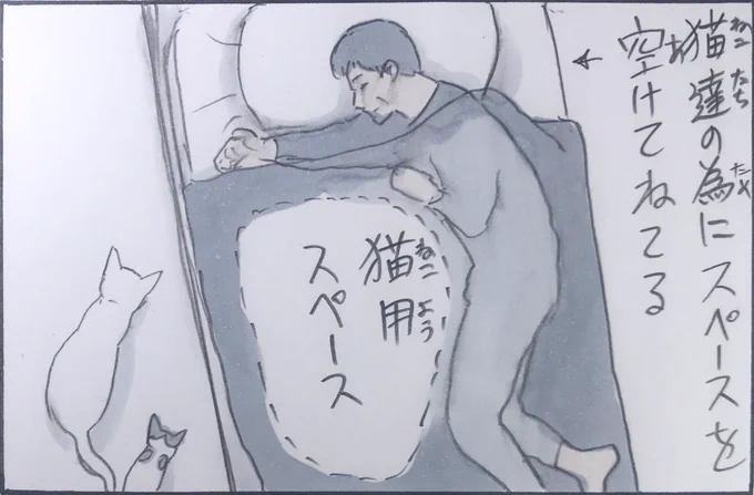『猫用スペース』 