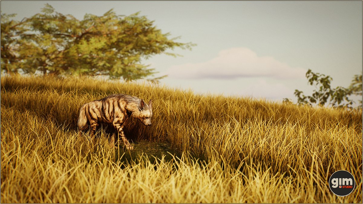 GiManimations's tweet photo. #stripedhyena #animalia #gameart #UnrealEngine #unity3d https://t.co/8hU8yUFd6s