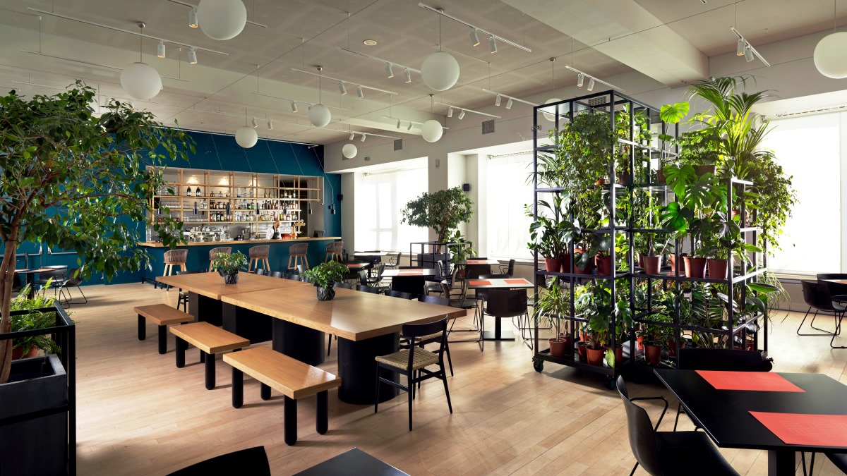 A delicious #greekend visit in Athens. 
Follow us on a tour to the most famous restaurants in museums around the city! 
#AllYouWantIsGreece #VisitGreece #ttot #travel  💙visitgreece.gr/inspirations/a…