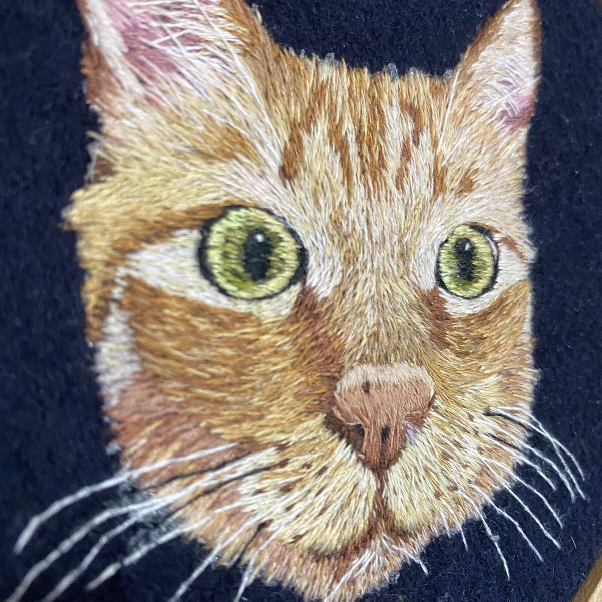 t_s_keeper's tweet photo. 2/22の猫の日に
25歳男子が全力で
実家の猫を手縫いで刺繍しました🐈

是非作品を見てもらいたく！
頑張ったんでバズらせてください🐈‍⬛

#猫の日
#ねこの日
#猫
#2月22日 https://t.co/uPuRJRvCTJ
