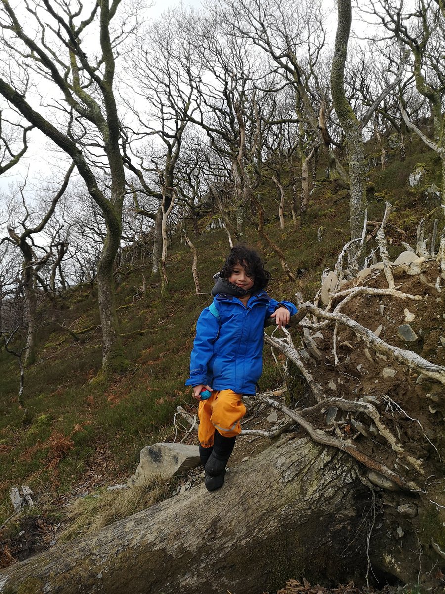 alyssazed's tweet photo. Týr hiking in Dinorwig Quarry in Snowdonia 😁 He definitely loves outdoor hiking and exploring. Very brave and not afraid of challenges! 😍 @Class1W_ws https://t.co/s98BSNa2B5